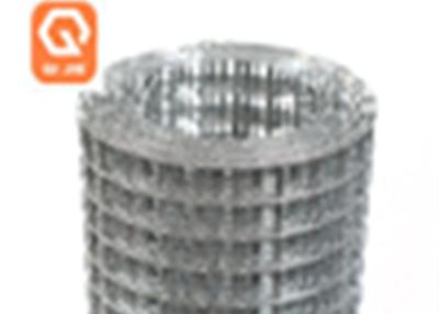 China 2mm 1x1/2 2x4 Galvanised Welded Wire Mesh Roll  Aviary Mesh Roll Smooth Surface for sale
