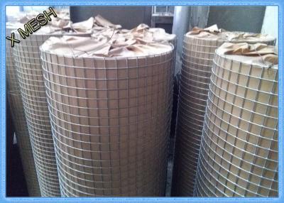China Electric Fusion Galvanised Welded Mesh Rolls Stainless Steel Wire 19 X19x1.6mm Dia for sale