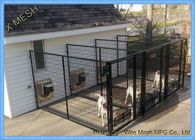 China Powder Coated Welded Wire Mesh Baskets Dog Cage Full Sizes Pets Enclosure for sale