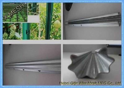 China Ce Certificate Metal Vineyard Posts 1.5mm Thickness Easy Installation for sale