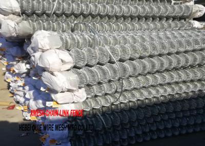 Cina Dimensione galvanizzata della barriera di sicurezza 50x50 millimetro del collegamento a catena della rete metallica del giardino in vendita
