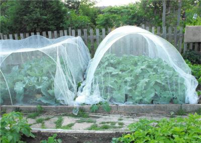 China Horticulture Hdpe Fly Screen Mesh Agriculture Insect Proof Network 40 Mesh for sale