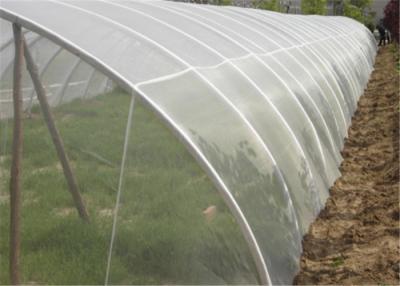 中国 2x30mの紫外線抵抗力がある反昆虫のはえスクリーンの網の野菜白い網 販売のため