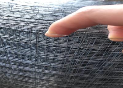 China 48x100 Hardware Cloth Galvanized 1/4 Inch Welded Rabbit Cage Wire Mesh for sale