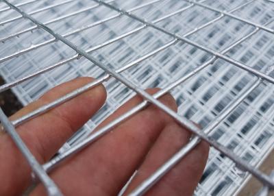 China 100x100mm 12mm Galvanised Wire Mesh Panels for sale