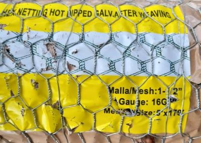 China 20 Ga Chicken Stainless Steel Woven Wire Mesh Poultry Mesh Hexagon Hole 3/4