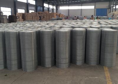 China Professional Stainless Steel Welded Wire Mesh Panels , High Tensile Wire Fence Panels for sale