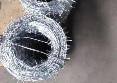 China Cheap Price Wholesale Galvanized Barbed Wire With Customizable Specifications for sale