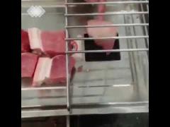 table top meat slicer