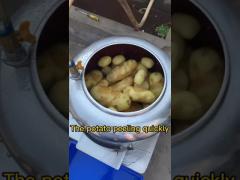 Commerical food peeler capacity 240kg/h Potato Peeling Machine