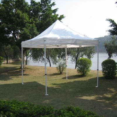 China Promotional 3x3m 3x4.5m 3x6m Folding Foldable Cheap Canopy Tent For Car for sale