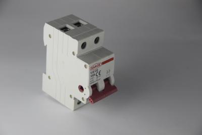 China VIS100 2P Main Switch Isolating Circuit Breaker Household Function Disconnector Isolator 32A 63A 100A for sale
