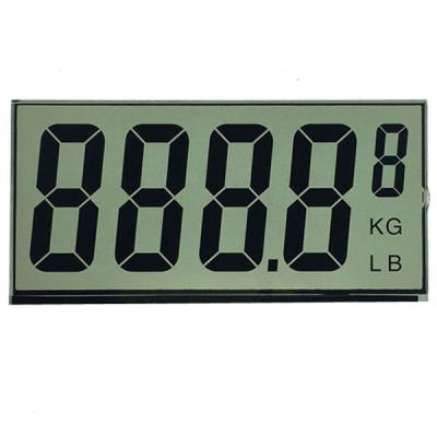 China Alphanumeric 7 Segment LCD Display , TN LCD Panel For Weight Counter Front Screen for sale