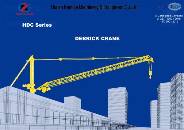 Quality 10 Ton Derrick Tower Crane HDC63(3023)-10T Derrick Boom Crane for sale