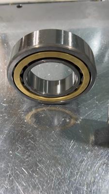 Cina OEM cilindrico del cuscinetto a rulli del doppio di N1010M Screw Compressor Bearings in vendita