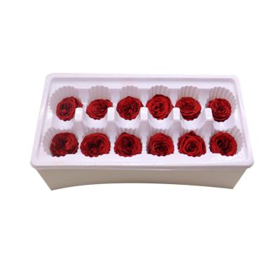 China Preserved austin rose flower rose head Valentines wedding ladies gift for sale