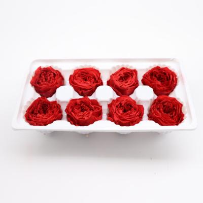 China Long Lasting Preserved Rose Dome , 4-5cm Luxury Preserved Roses In Austin for sale