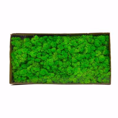 China Multiple Colors Interior Decoration Preserved Green Wall With Simple Structure for sale
