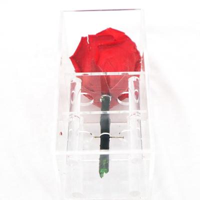 China Beautiful Colorful Preserved Rose Flower For Home Indoor Decoration for sale