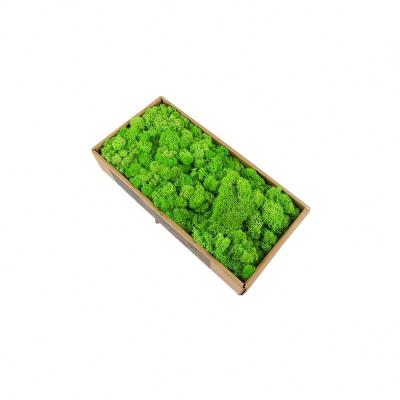 China All Colors Preserved Natural Moss Balls With Long Preserving Time for sale