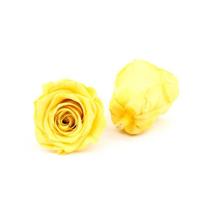 China Immortal Diameter 5-6cm Preserved Rose Flower For Mothers Day for sale