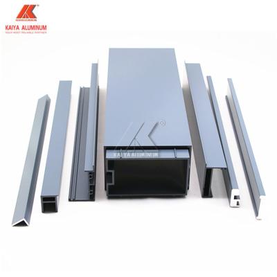 China Curtain Wall Structure Aluminium Alloy Profile For Double Glazing Glass Panel Facade for sale