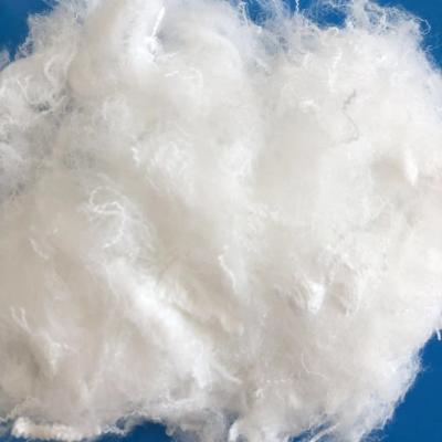 Chine Fibre d'agrafe acide polylactique de polyamide de PLA pour le tissu à vendre