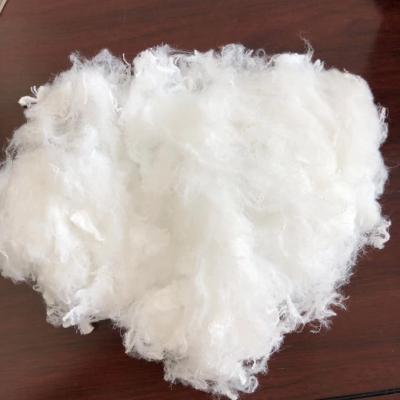 Китай Biodegradable низкий уровень синтетического волокна PLA поли плавит короткое штапельное волокно продается