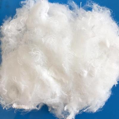 China Fibra de grampo sintética do PLA do milho amigável de Eco para girar o enchimento não tecido à venda