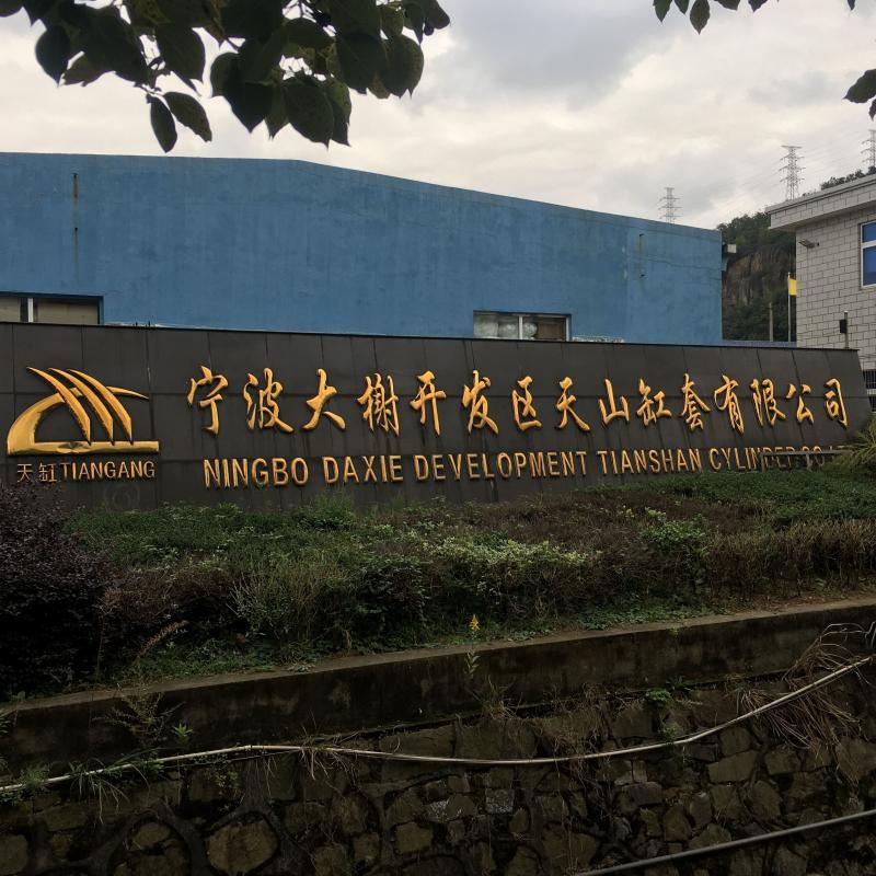 Proveedor verificado de China - Ningbo Daxie Development Tianshan Cylinder Block.,Ltd