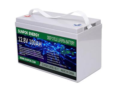 China LiFePo4 Lithium Ion Deep Cycle Battery 12v 24V 100ah 200ah Long Life Agm Gel Batteries for sale