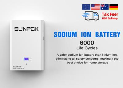 China IP21 100A Hoge veiligheid Natrium-ionbatterij met -20°C tot 60°C Levensduur van 20 jaar Te koop
