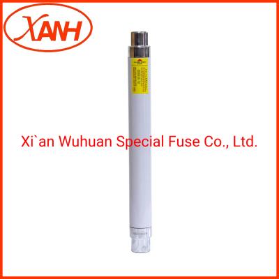 China Overcurrent Protection 24kv Fuse Xrnt1 High Voltage Ceramic Cartridge Fuse for sale