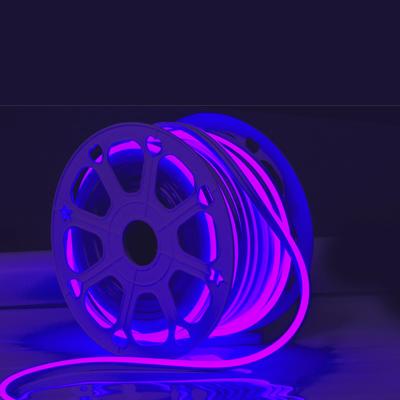 China RGBW 12V LED Silicone Neon Strips Color Changing For Wedding for sale