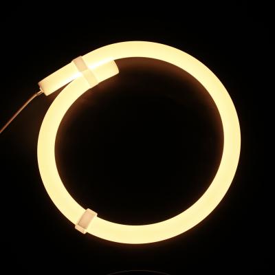 Chine OEM Digital RGB Led Silicone Neon Strips IP68 For Outdoor Decoration à vendre
