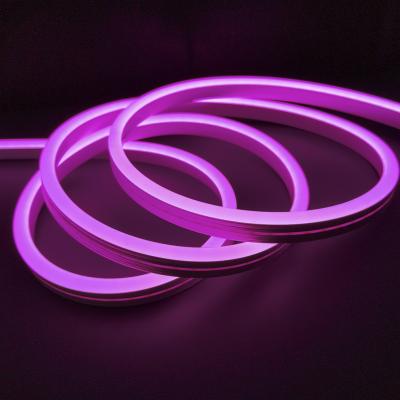 China Diodo emissor de luz multicolorido Flex Light Strip de néon IP65 12 volts 24 volts para a decoração à venda