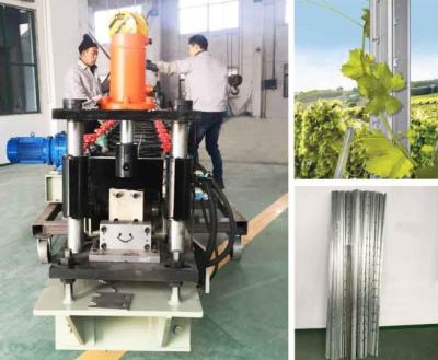 China Rollo vendedor caliente del poste del viñedo del motor de Siemens que forma anchura de alimentación de la máquina 200m m en venta