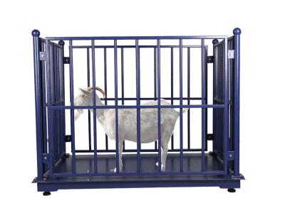 China LCD OIML Cattle Weighing Scales Anti Corrosion With Locks for sale