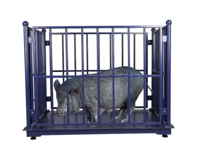 China Balanzas de las ovejas del LCD Digital, escala del peso 5T para las vacas en venta