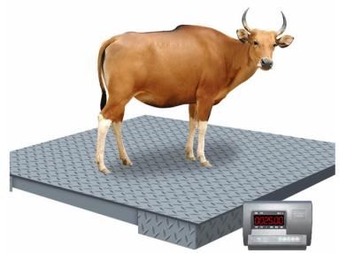 China Carbon Steel Animal Industrial Floor Scales Heavy Duty Digital 2T 1X1M for sale