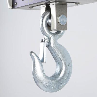 China Stainless Steel Hanging Crane Scale 300kg 500kg A12e Indicator for sale
