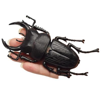 China Lifelike Model Simulation Insect Toy Nursery Teaching Aids Joke Toys For Kids for sale