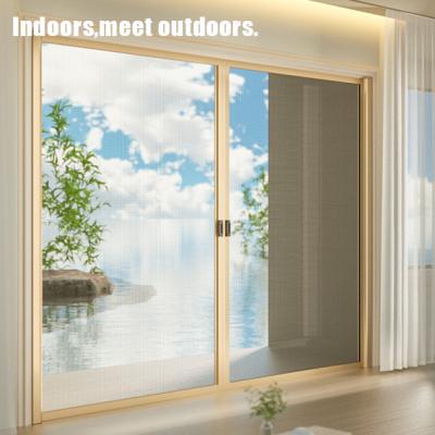 China Automated Roll Up Insect Screen Mesh Doors Retractable Style for sale