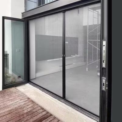 China Anti Mosquito Sliding DIY Retractable Fly Screen Door Easy Cleaning for sale