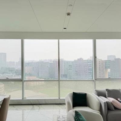 Κίνα Πόρτες και παράθυρα από κράμα αλουμινίου υψηλής ποιότητας Γαλλικά πάνω και κάτω συρόμενα παράθυρα αλουμινίου προς πώληση
