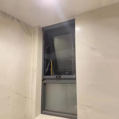 China Het Aluminiumgordijnstof Zwart Enig Hung Window van het mugbewijs Te koop