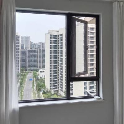 China Pantalla retractable solo Hung Windows Aluminium Casement Window en venta