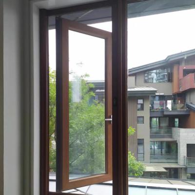 Chine OEM de porte moustiquaire coulissante en métal de fenêtres à guillotine simple de cadre en aluminium de DIY à vendre