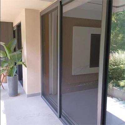 China Modern Design Anti Insect Aluminum Alloy Screen Door Retractable Screen Door Customized for sale