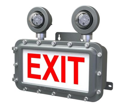 China IP66 LED Exit Emergency Light DC12-36V For Dangerous Place for sale